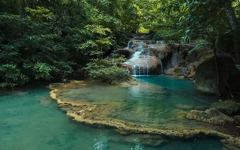 طبیعت تایلند در بهار