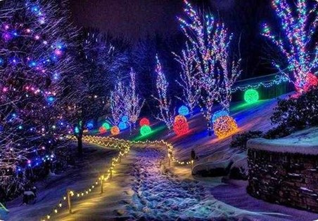 زمستان، بهترین زمان سفر به ژاپن