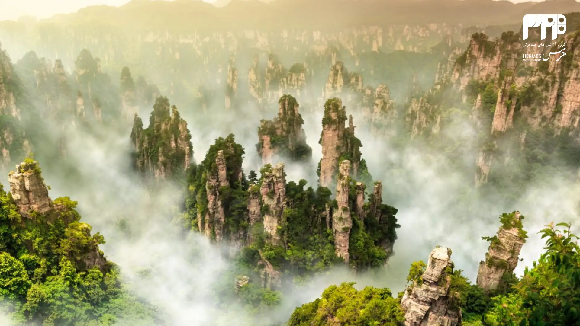 پارک ملی جنگلی Zhangjiajie
