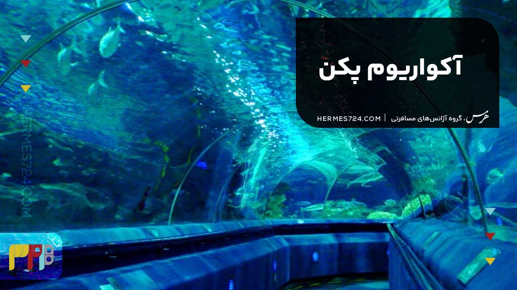 آکواریوم پکن
