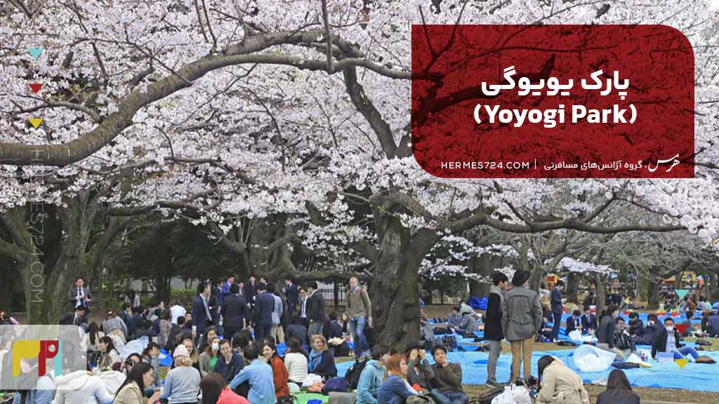 پارک یویوگی (Yoyogi Park)