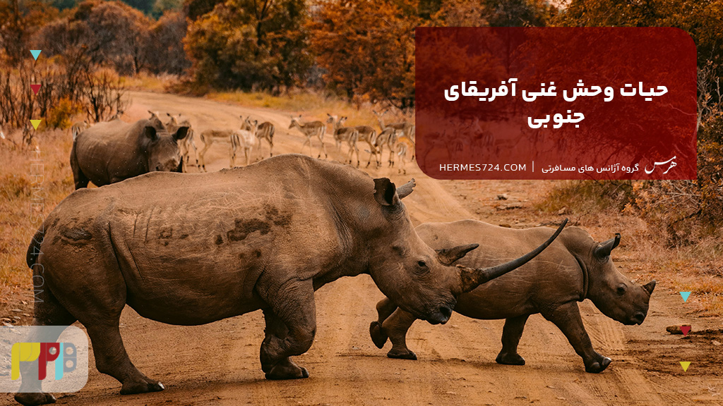 حیات وحش غنی آفریقای جنوبی