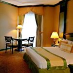CARLTON PALACE HOTEL