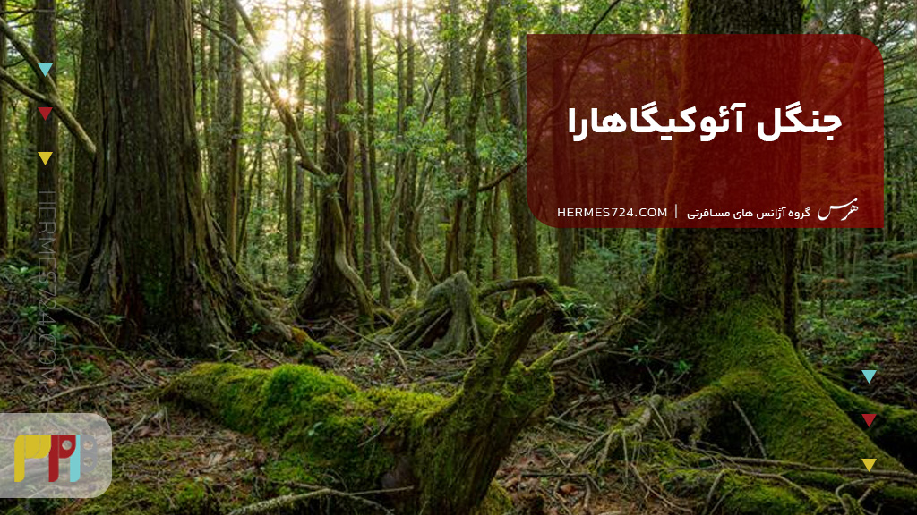 جنگل آئوکیگاهارا