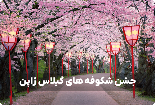 جشن شکوفه های گیلاس ژاپن