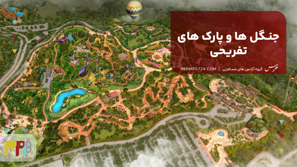 بازدید از جنگل ها و پارک های تفریحی