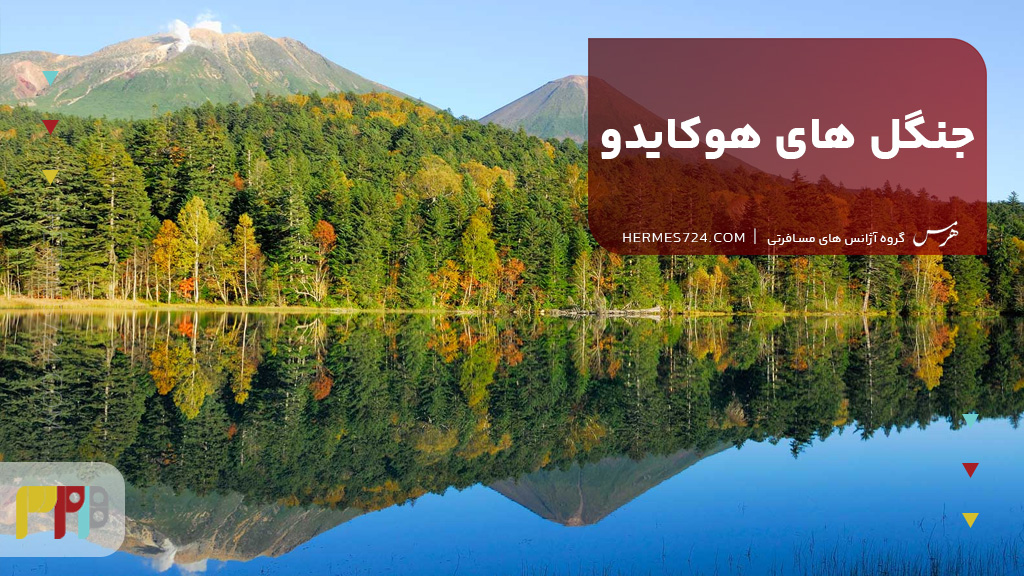 جنگل های هوکایدو