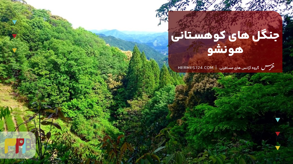 جنگل های کوهستانی هونشو
