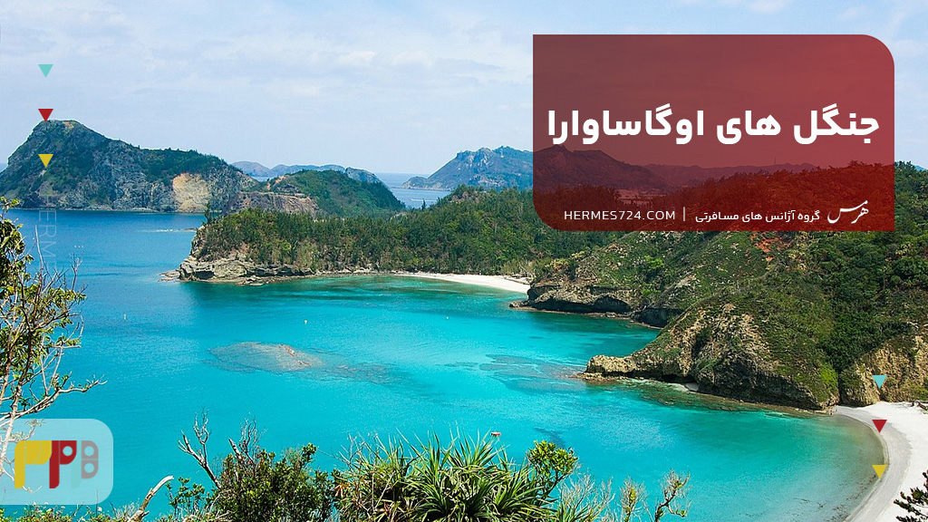 جنگل های اوگاساوارا