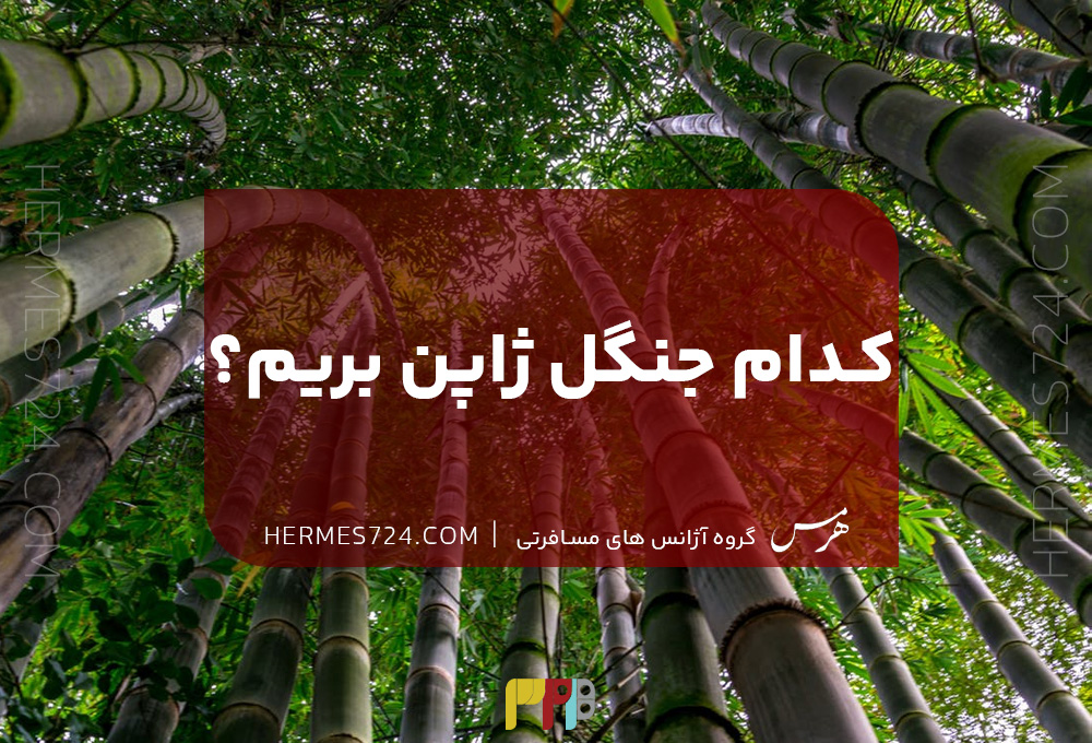 کدامیک از جنگل های ژاپن بریم؟