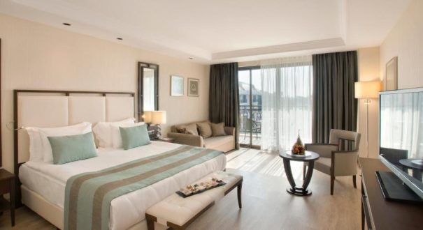 JU JU PREMIER PALACE HOTEL