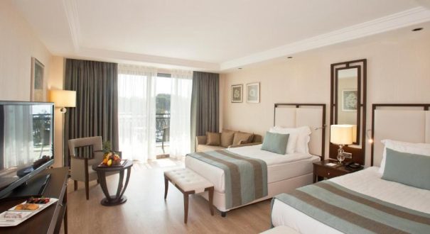 JU JU PREMIER PALACE HOTEL