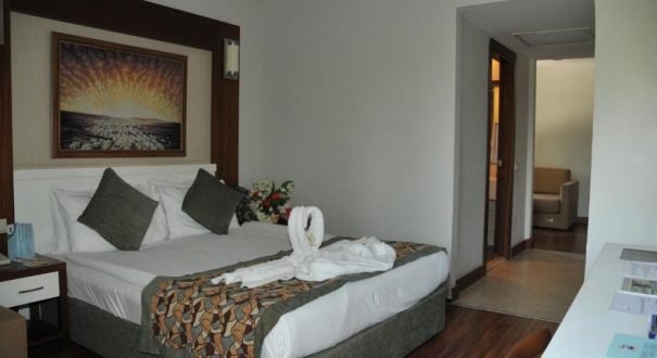 VIKING STAR HOTEL