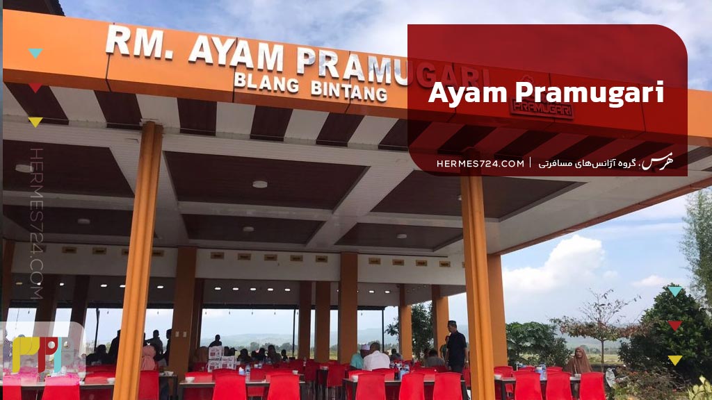 Ayam Pramugari .3