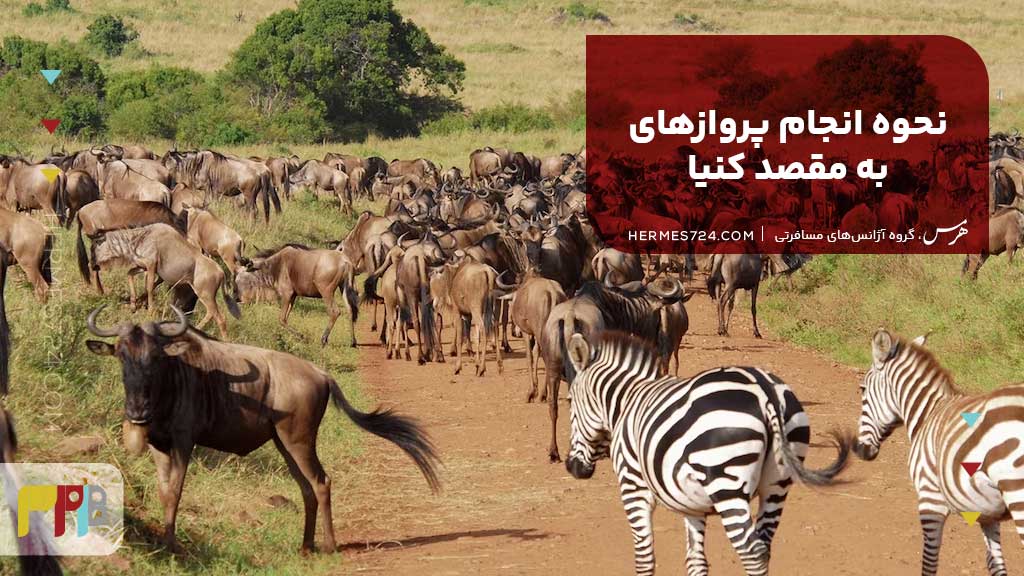 نحوه انجام پروازهای به مقصد کنیا
