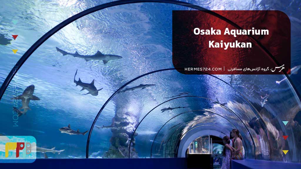 3 Osaka Aquarium Kaiyukan
