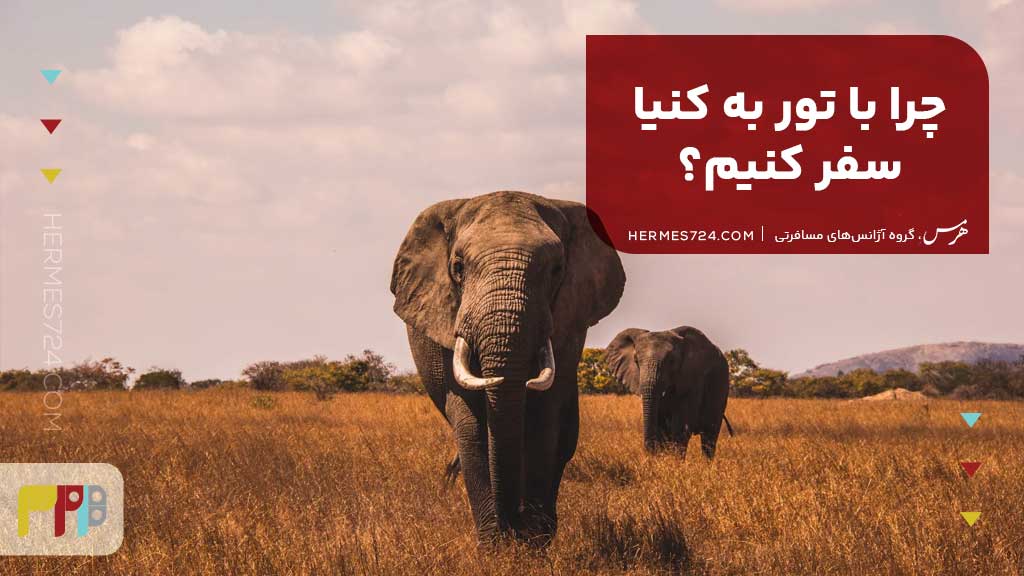 چرا با تور به کنیا سفر کنیم؟