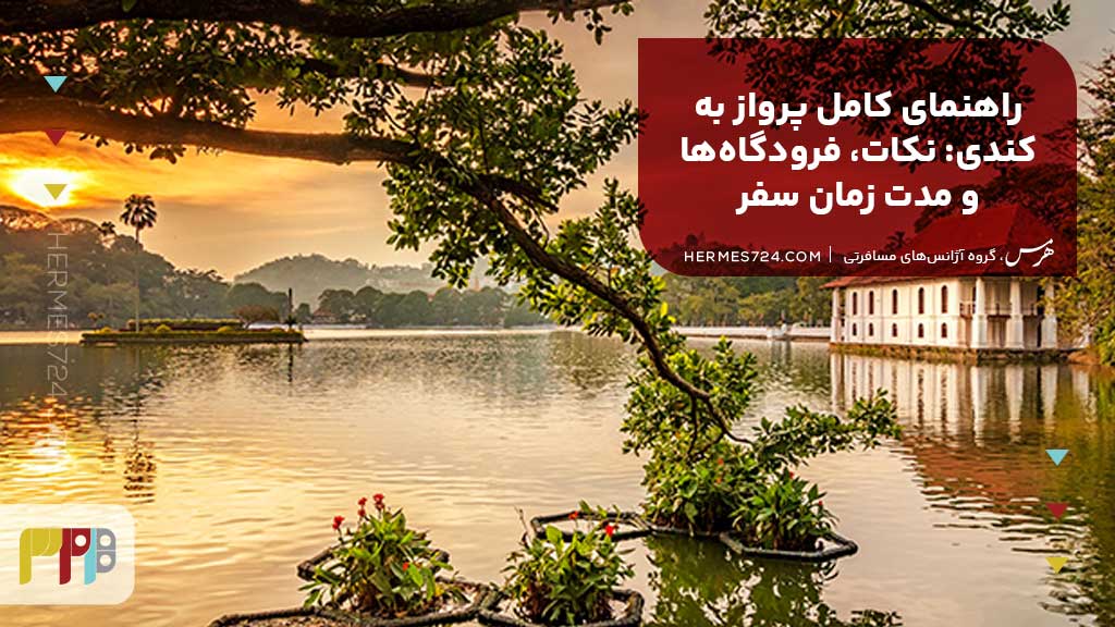 راهنمای کامل پرواز به کندی