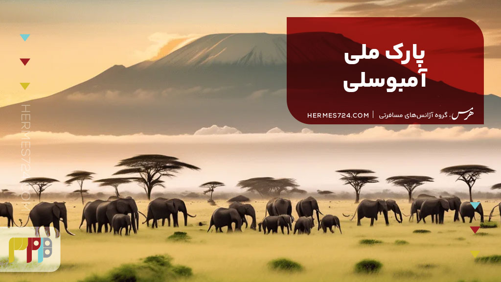 پارک ملی آمبوسلی