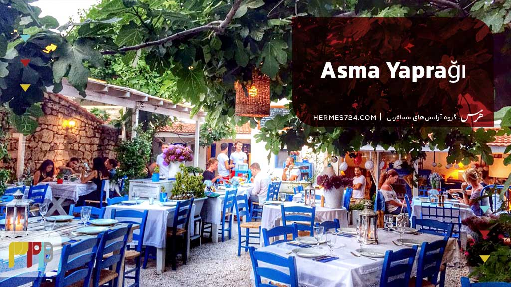 Asma Yaprağı