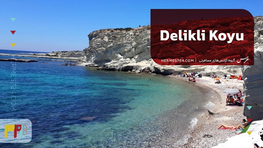 1. Delikli Koyu