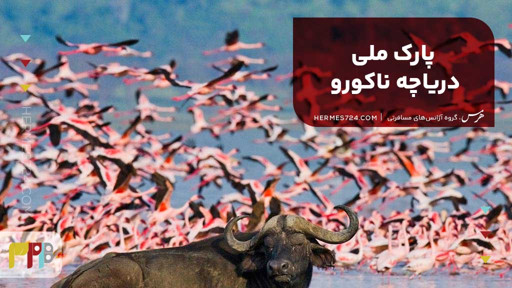 پارک ملی دریاچه ناکورو
