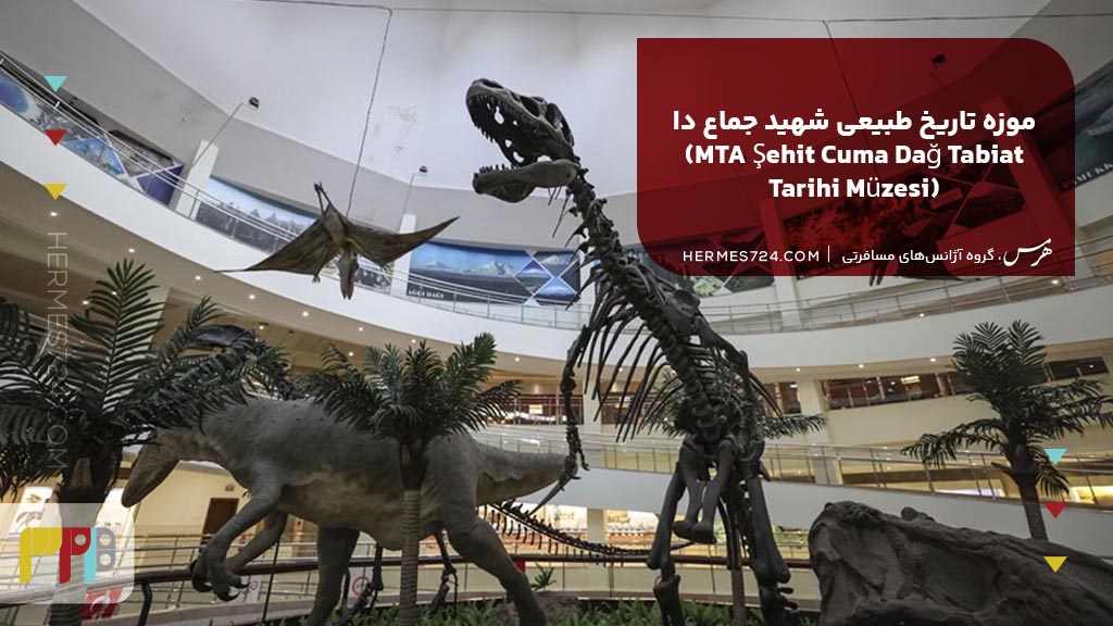 موزه تاریخ طبیعی شهید جماع دا (MTA Şehit Cuma Dağ Tabiat Tarihi Müzesi)