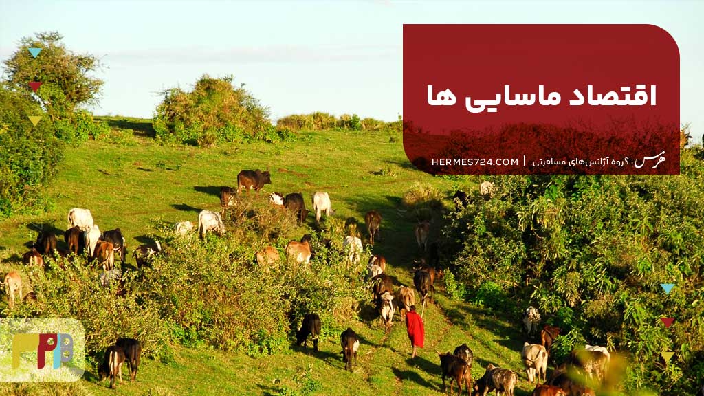 اقتصاد ماسایی ها