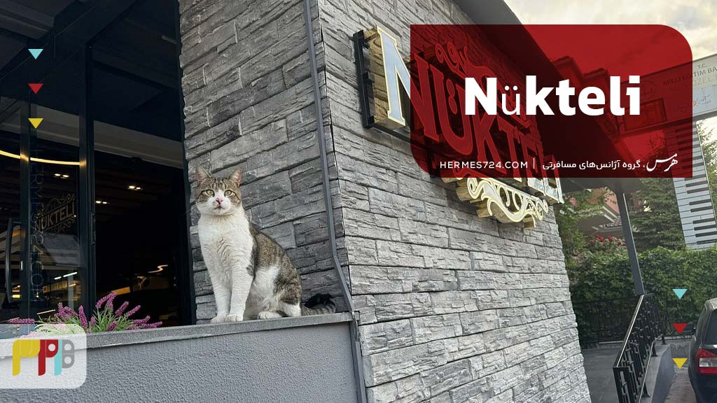 Nükteli.1