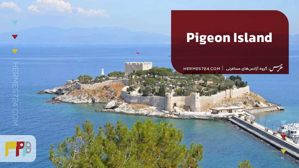 جزیره کبوتر (Pigeon Island)