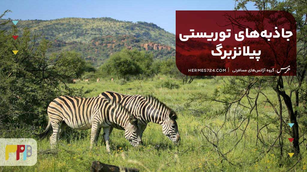 جاذبههای توریستی پیلانزبرگ