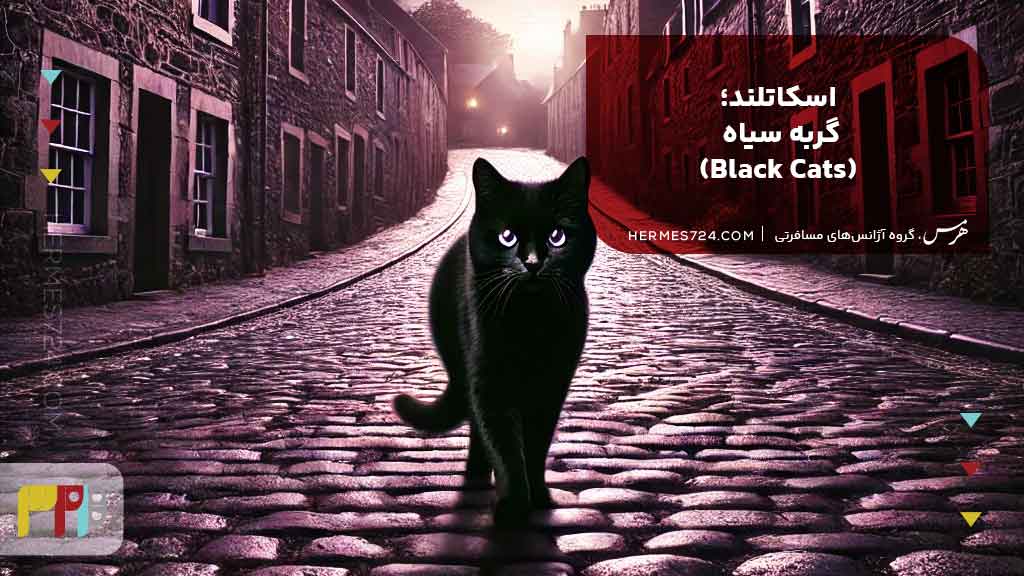 9.اسکاتلند؛ گربه سیاه (Black Cats)
