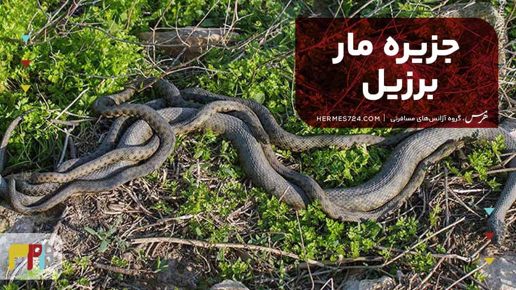 جزیره مار، برزیل