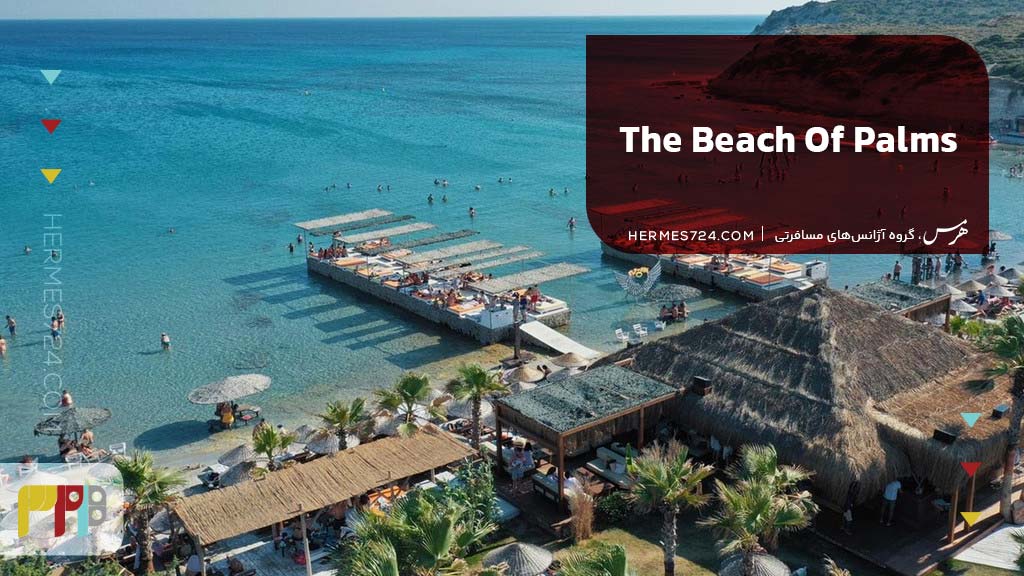 10. The Beach Of Palms