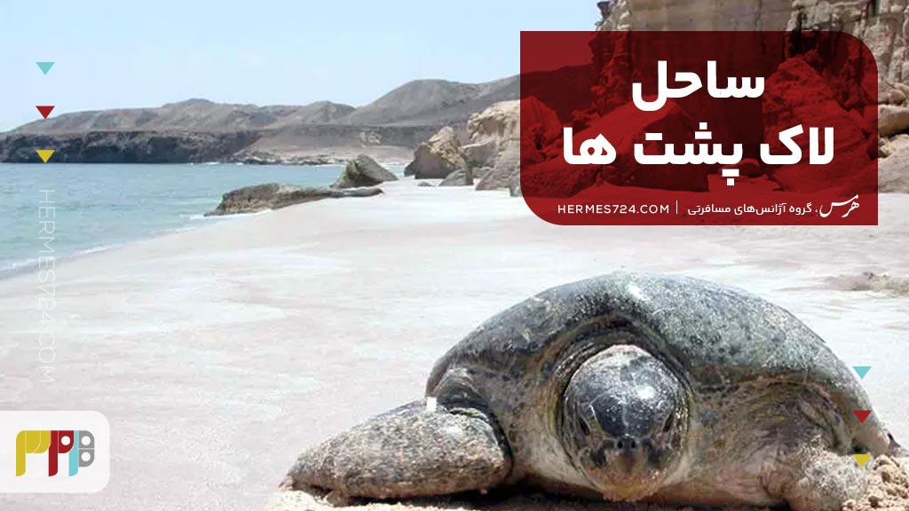 ساحل لاکپشتها