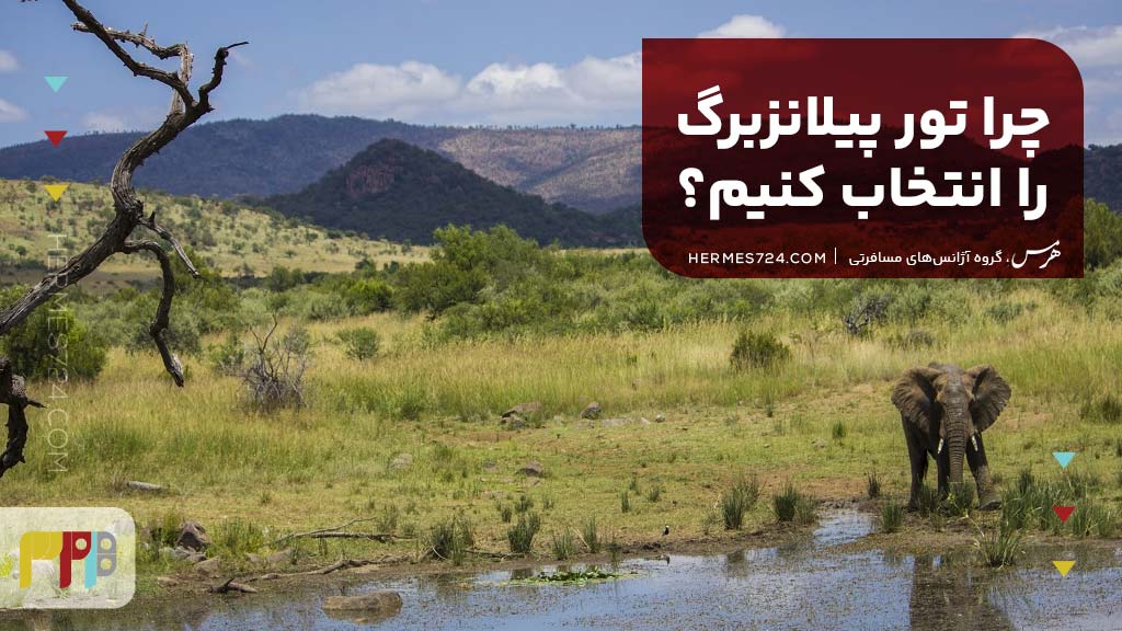 چرا تور پیلانزبرگ را انتخاب کنیم؟