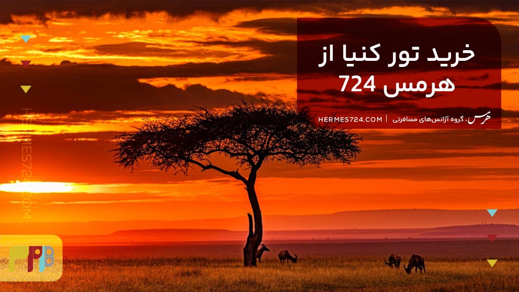 خرید تور کنیا از هرمس 724