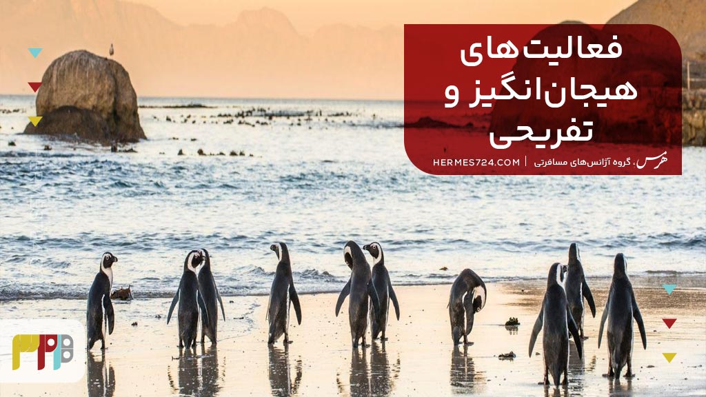 فعالیتهای هیجانانگیز و تفریحی در آفریقای جنوبی