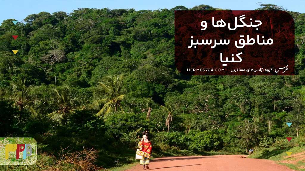 جنگل ها و مناطق سرسبز