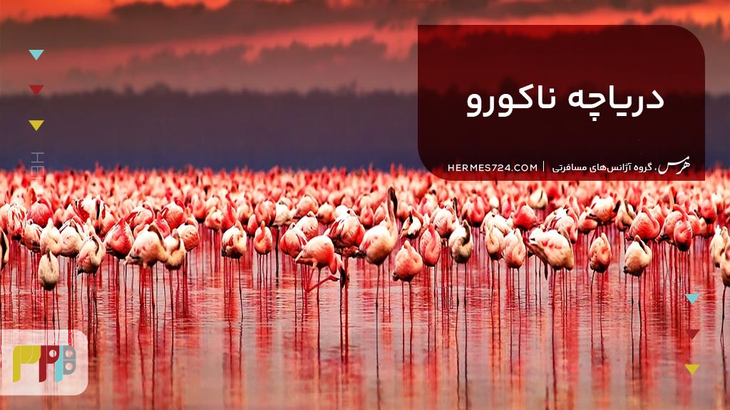 دریاچه ناکورو
