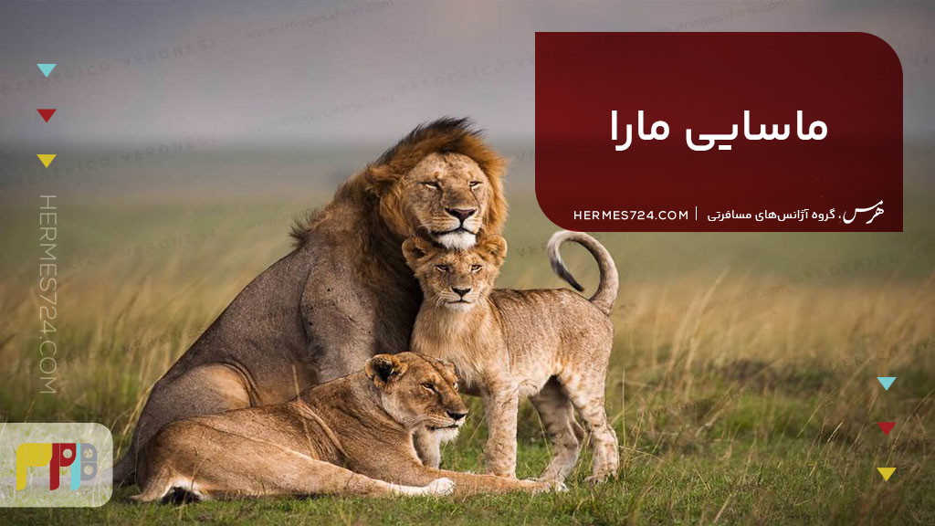 ماسایی مارا