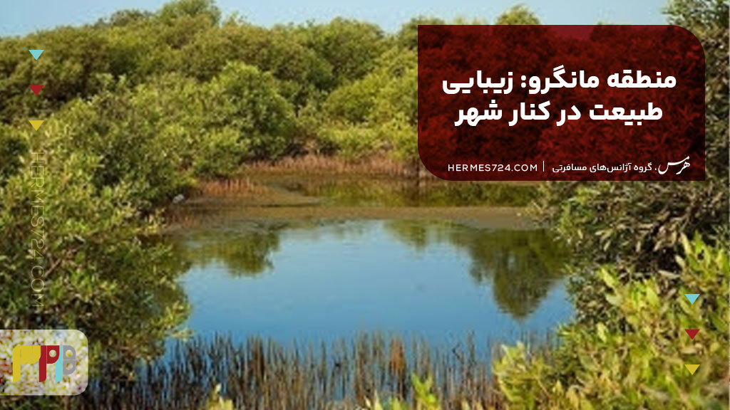 20. منطقه مانگرو: زیبایی طبیعت در کنار شهر