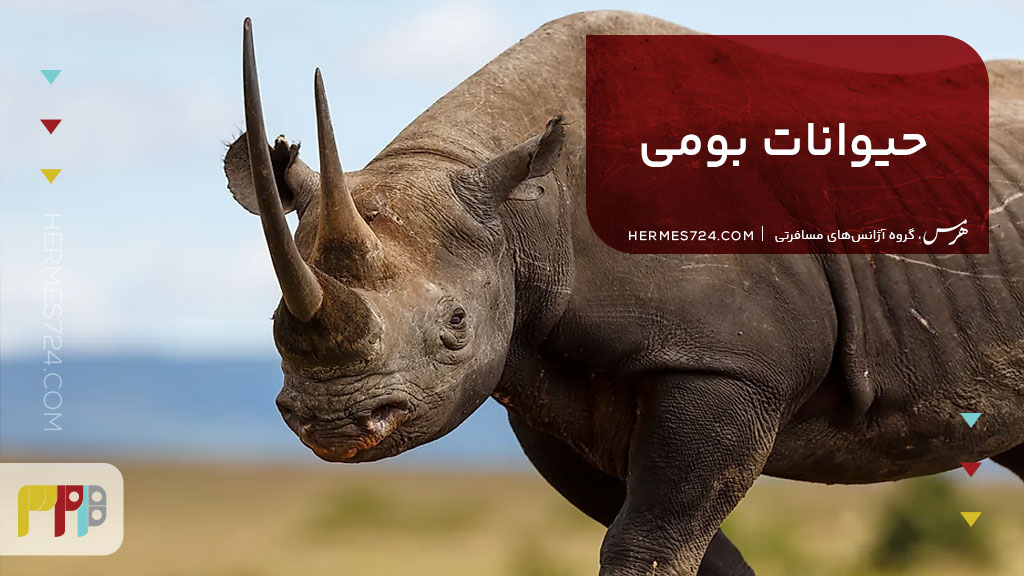 بهشت حیات‌وحش