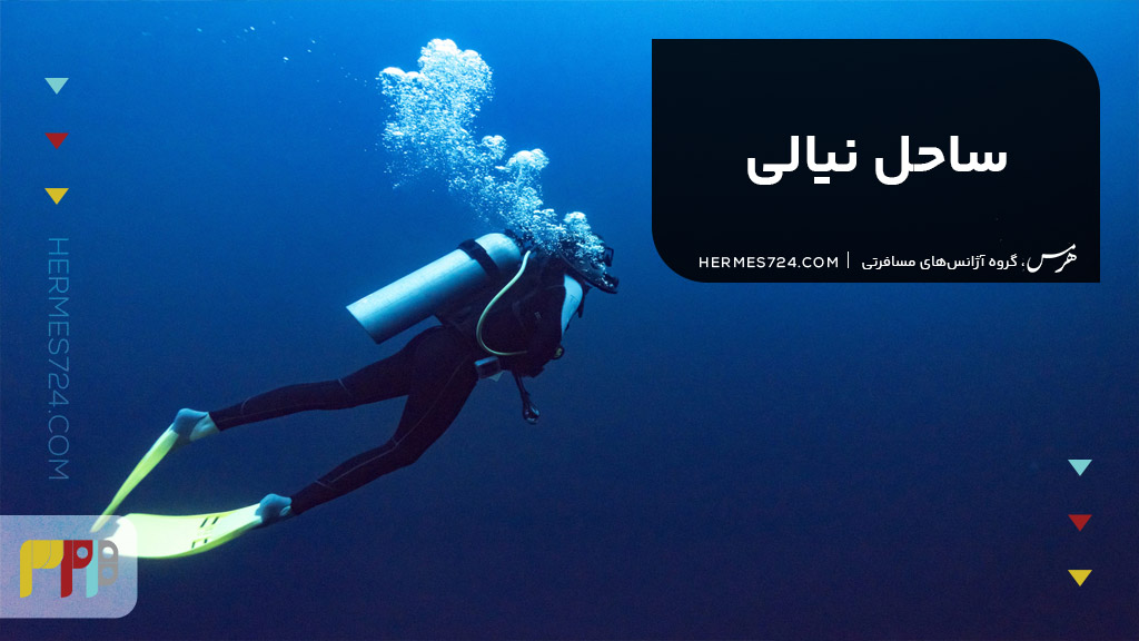 ساحل نیالی