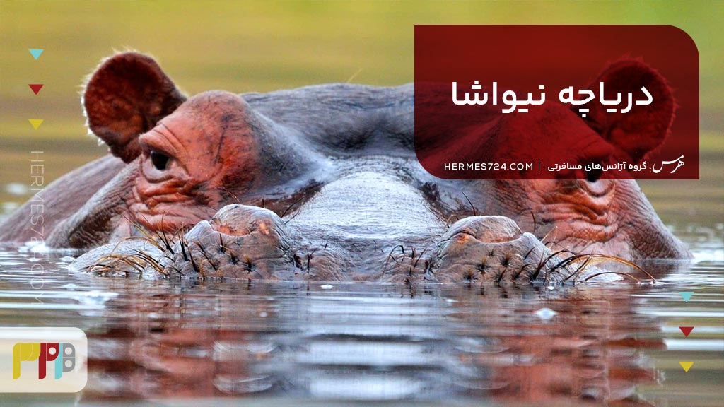 دریاچه نیواشا