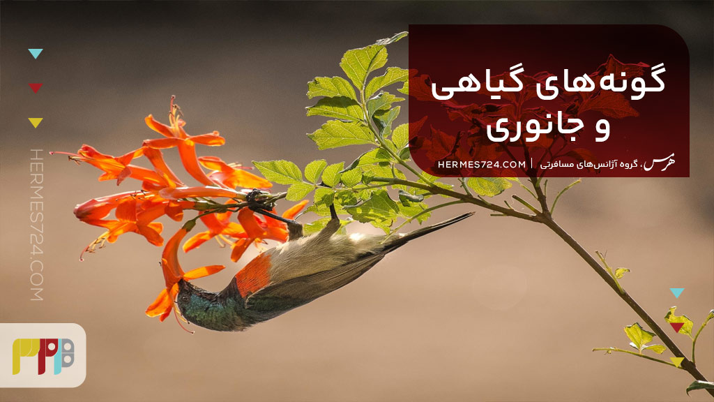 گونه‌های گیاهی و جانوری