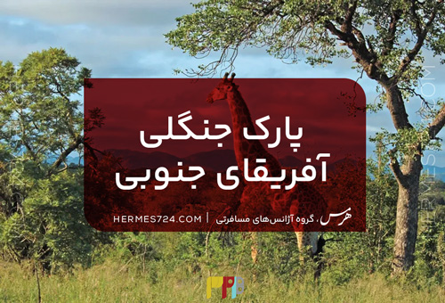 پارک جنگلی آفریقای جنوبی