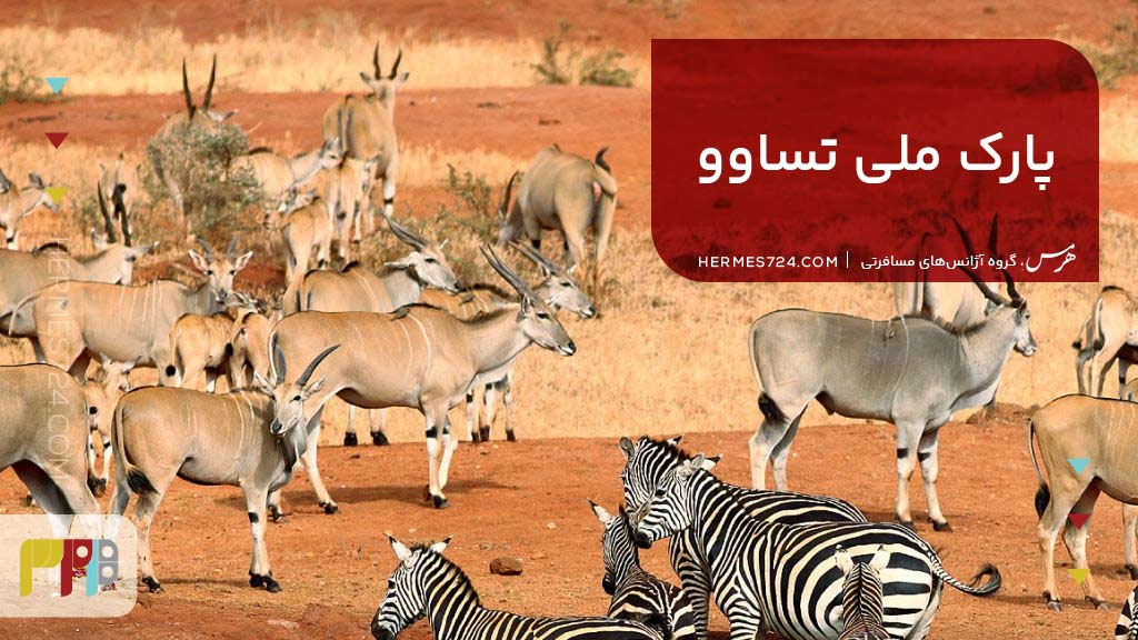 پارک ملی تساوو