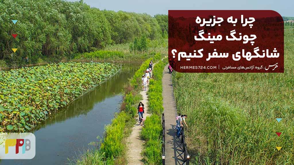 چرا به جزیره چونگ مینگ شانگهای سفر کنیم؟
