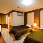 CONVENIENT PARK HOTEL